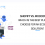 Shopify vs WooCommerce: Which Is The Best Platform To Choose For An Ecommerce Solution?