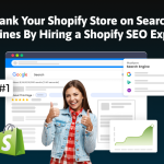 Shopify SEO Expert