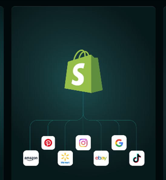 Shopify Across-channel Selling