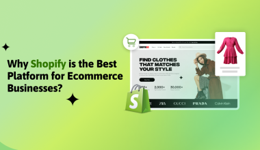 Shopify Ecommerce Platform