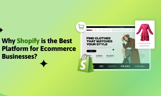 Shopify Ecommerce Platform