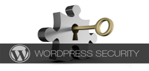 Harden the Security of Your WordPress Based Website