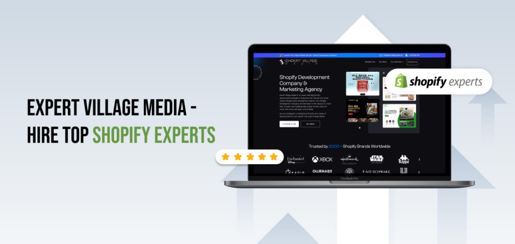 Expert Village Media - Hire Top Shopify Experts