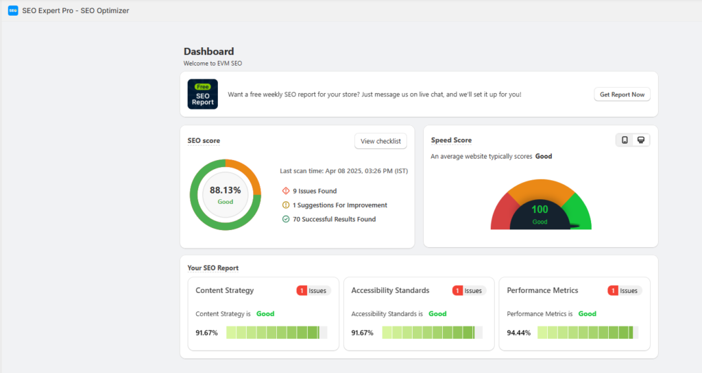 SEO Expert Pro Site Audit