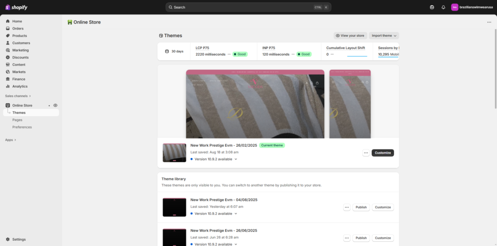 "Shopify Online Store dashboard showing the Themes section"