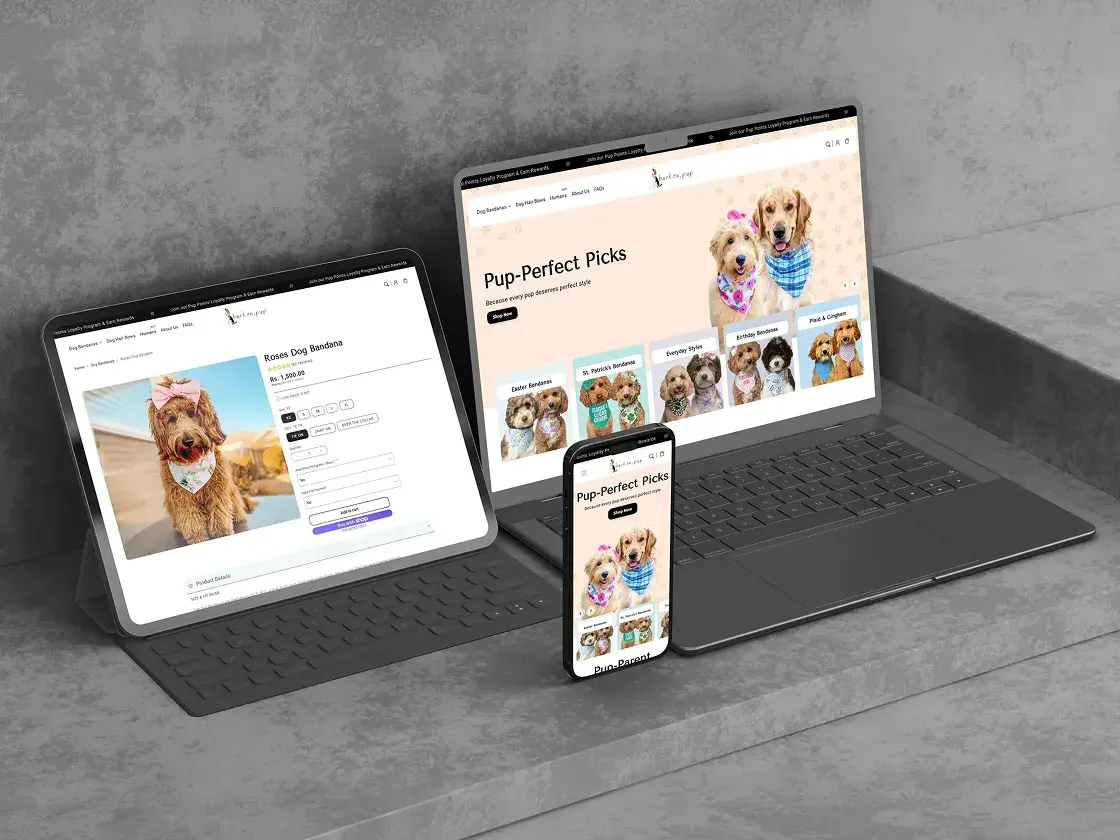 Web Case Studies