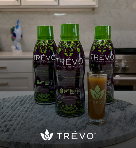 SEO page 5 Trevo Social media marketing