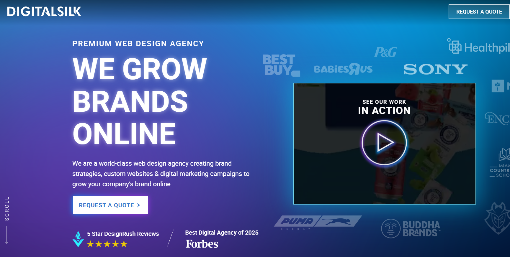 Digital-Silk-home-page